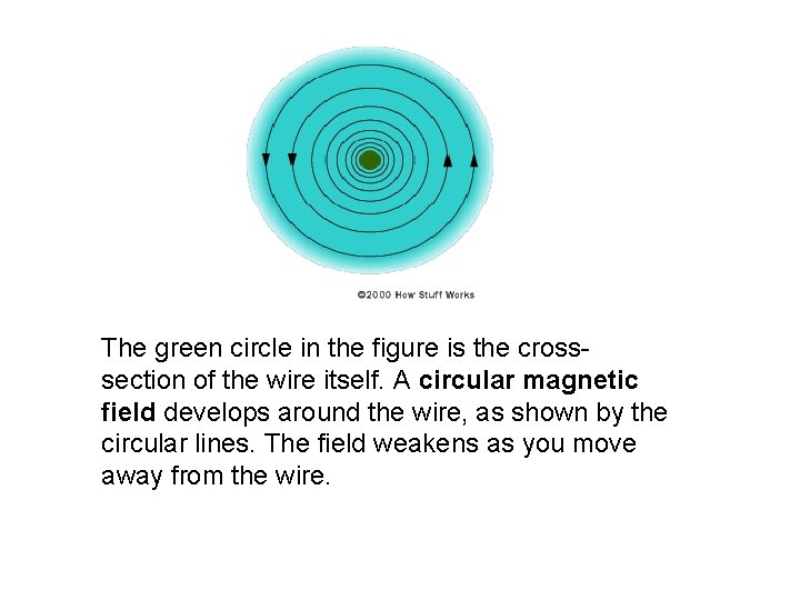 The green circle in the figure is the crosssection of the wire itself. A