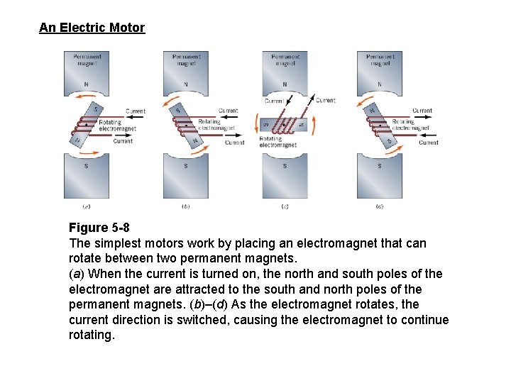 An Electric Motor Figure 5 -8 The simplest motors work by placing an electromagnet