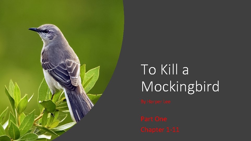 To Kill a Mockingbird By Harper Lee Part One Chapter 1 -11 