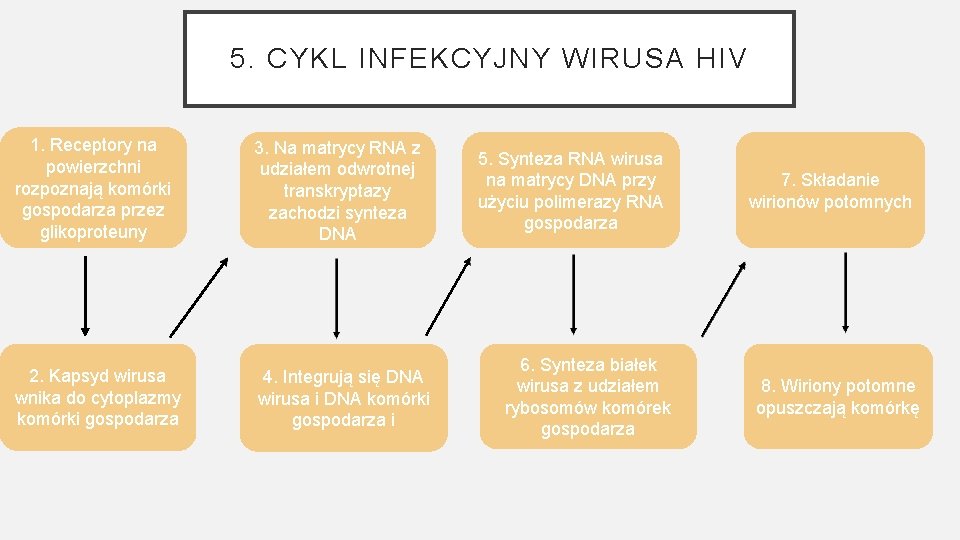 5. CYKL INFEKCYJNY WIRUSA HIV 1. Receptory na powierzchni rozpoznają komórki gospodarza przez glikoproteuny