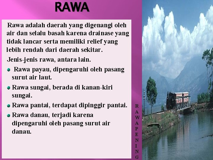 RAWA Rawa adalah daerah yang digenangi oleh air dan selalu basah karena drainase yang