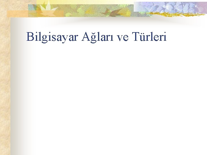 Bilgisayar Ağları ve Türleri 