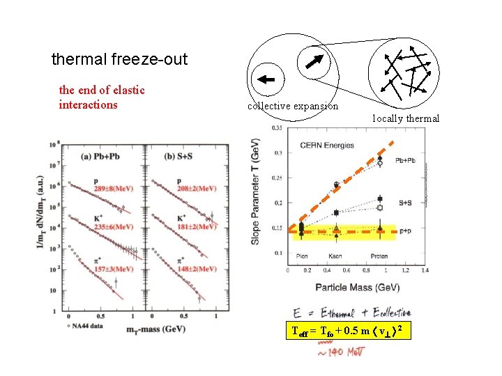 thermal freeze-out the end of elastic interactions collective expansion locally thermal Teff = Tfo