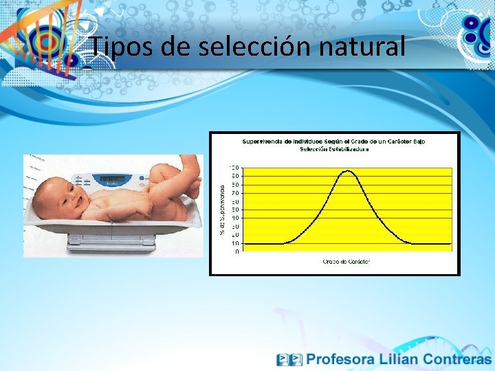 Tipos de selección natural 