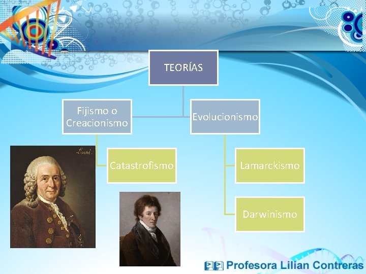 TEORÍAS Fijismo o Creacionismo Catastrofismo Evolucionismo Lamarckismo Darwinismo 