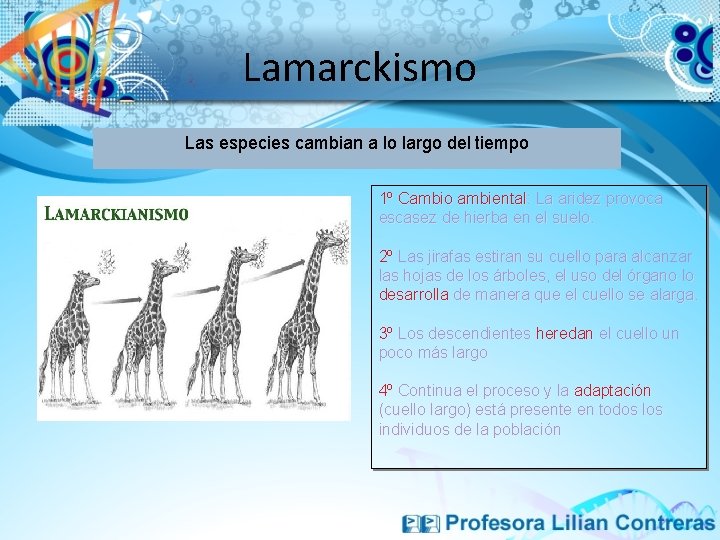 Lamarckismo Las especies cambian a lo largo del tiempo 1º Cambio ambiental: La aridez