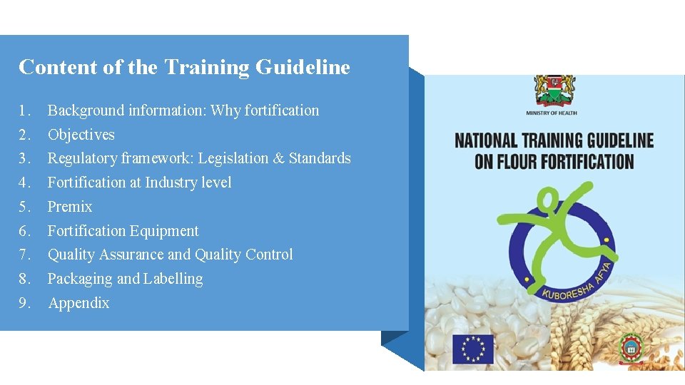 Content of the Training Guideline 1. Background information: Why fortification 2. Objectives 3. Regulatory