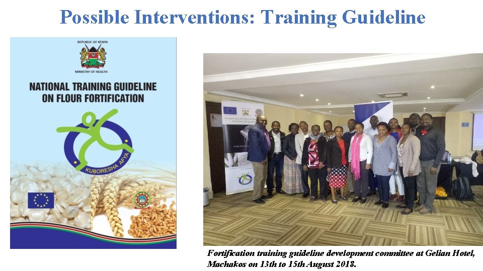 Possible Interventions: Training Guideline Fortification training guideline development committee at Gelian Hotel, Machakos on