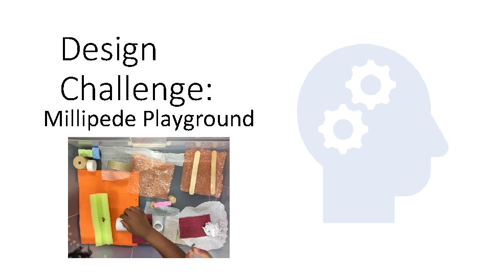 Design Challenge: Millipede Playground 