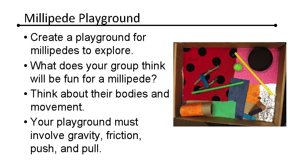 Millipede Playground • Create a playground for millipedes to explore. • What does your