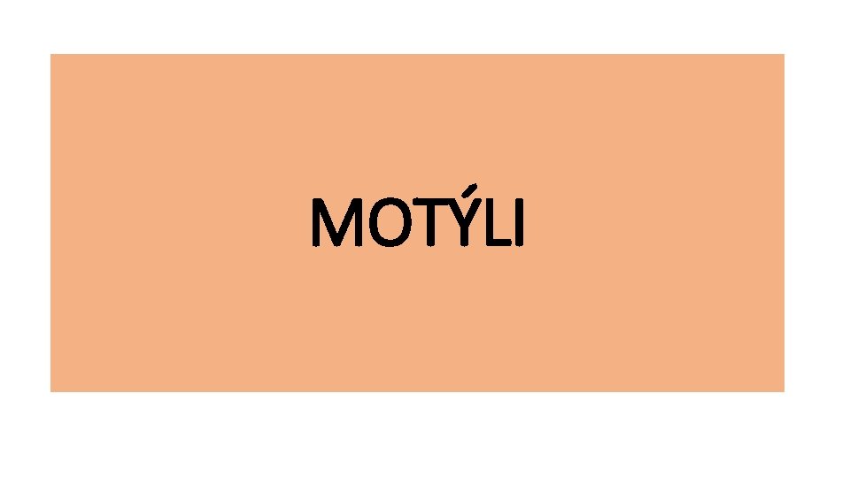 MOTÝLI 