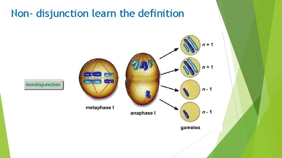 Non- disjunction learn the definition 