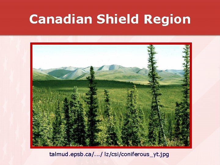 Canadian Shield Region talmud. epsb. ca/. . . / lz/csi/coniferous_yt. jpg Canadian Shield Region talmud. epsb. ca/. . . / lz/csi/coniferous_yt. jpg