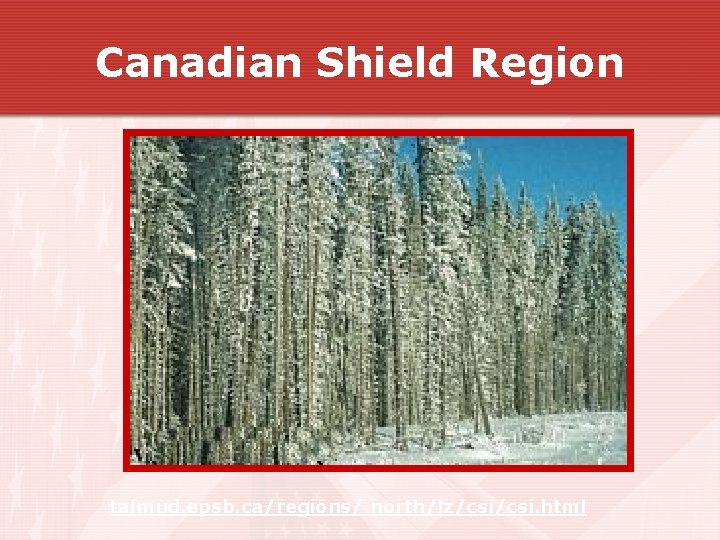 Canadian Shield Region talmud. epsb. ca/regions/ north/lz/csi. html Canadian Shield Region talmud. epsb. ca/regions/ north/lz/csi. html