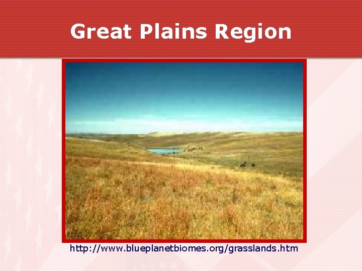 Great Plains Region http: //www. blueplanetbiomes. org/grasslands. htm Great Plains Region http: //www. blueplanetbiomes. org/grasslands. htm