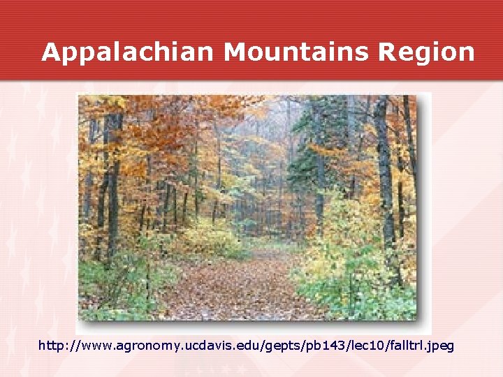 Appalachian Mountains Region http: //www. agronomy. ucdavis. edu/gepts/pb 143/lec 10/falltrl. jpeg Appalachian Mountains Region http: //www. agronomy. ucdavis. edu/gepts/pb 143/lec 10/falltrl. jpeg