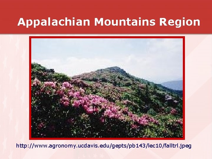 Appalachian Mountains Region http: //www. agronomy. ucdavis. edu/gepts/pb 143/lec 10/falltrl. jpeg Appalachian Mountains Region http: //www. agronomy. ucdavis. edu/gepts/pb 143/lec 10/falltrl. jpeg