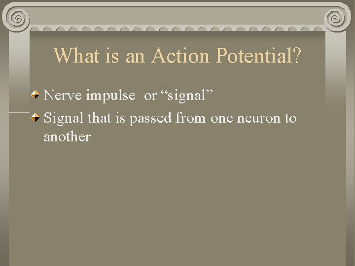 What is an Action Potential? Nerve impulse or “signal” Signal that is passed from