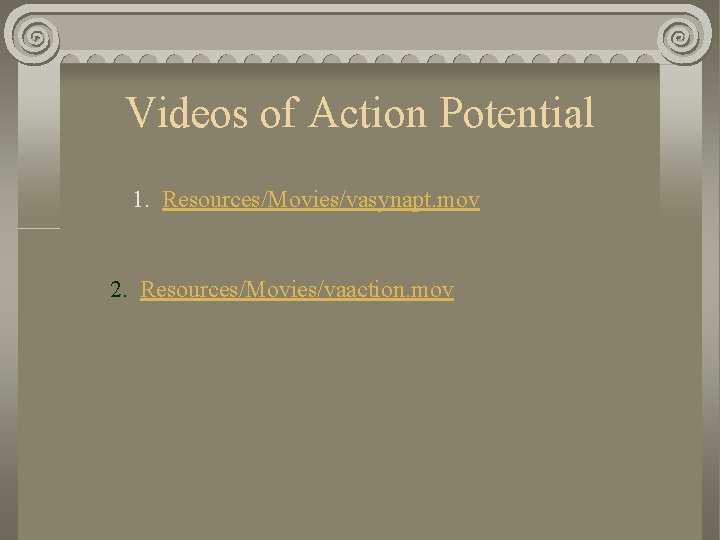 Videos of Action Potential 1. Resources/Movies/vasynapt. mov 2. Resources/Movies/vaaction. mov 