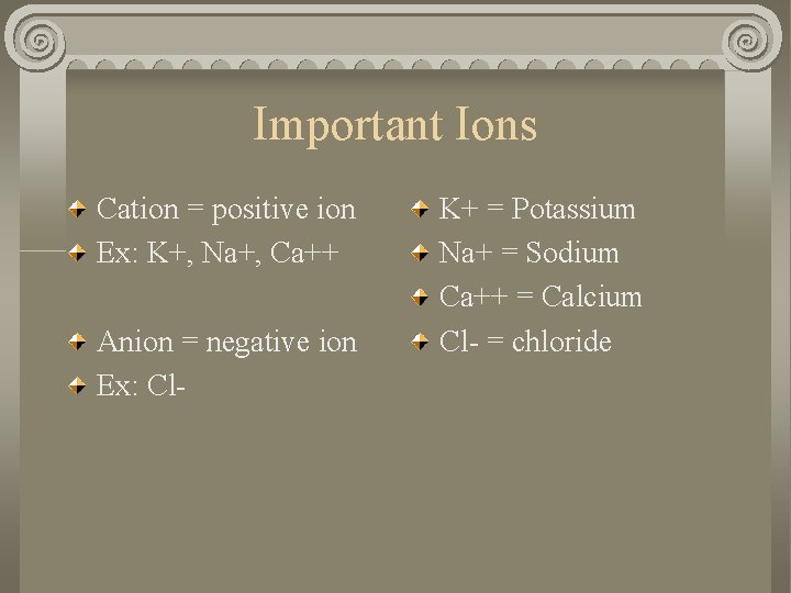 Important Ions Cation = positive ion Ex: K+, Na+, Ca++ Anion = negative ion