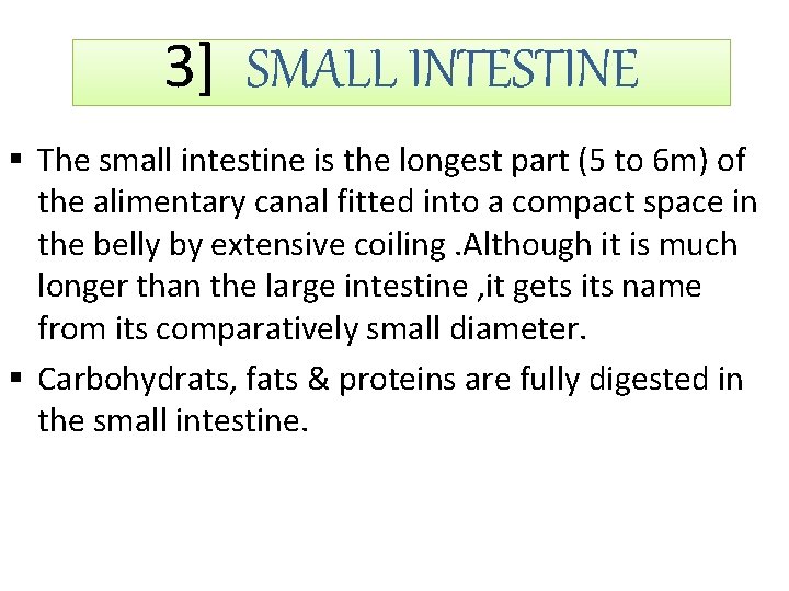 3] SMALL INTESTINE § The small intestine is the longest part (5 to 6