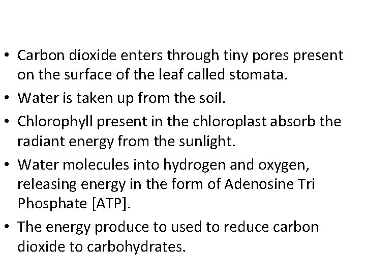  • Carbon dioxide enters through tiny pores present on the surface of the