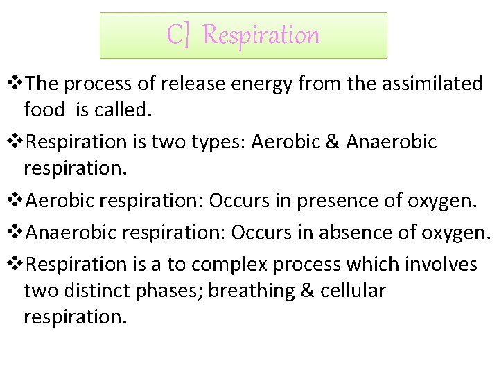 C] Respiration v. The process of release energy from the assimilated food is called.
