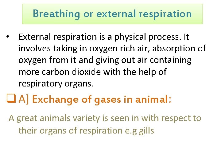 Breathing or external respiration • External respiration is a physical process. It involves taking