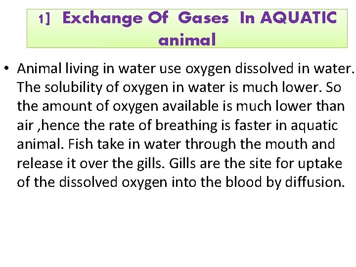 1] Exchange Of Gases In AQUATIC animal • Animal living in water use oxygen