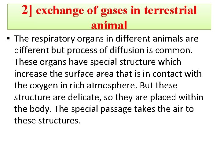2] exchange of gases in terrestrial animal § The respiratory organs in different animals