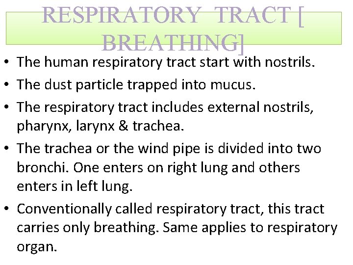 RESPIRATORY TRACT [ BREATHING] • The human respiratory tract start with nostrils. • The
