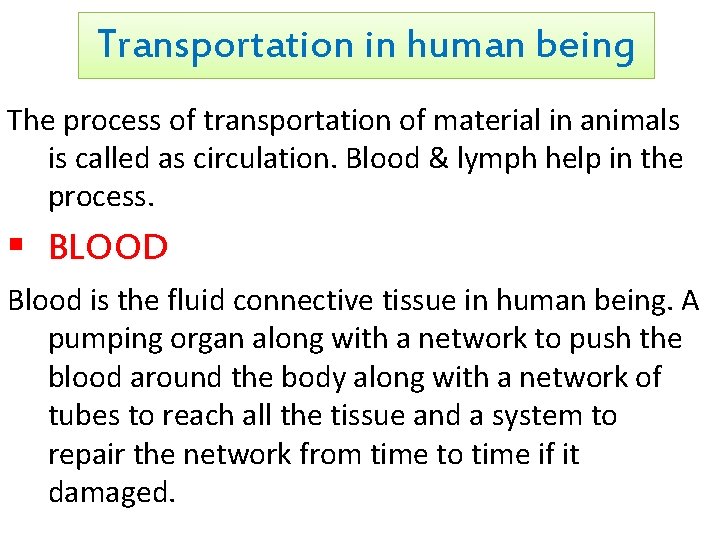Transportation in human being The process of transportation of material in animals is called