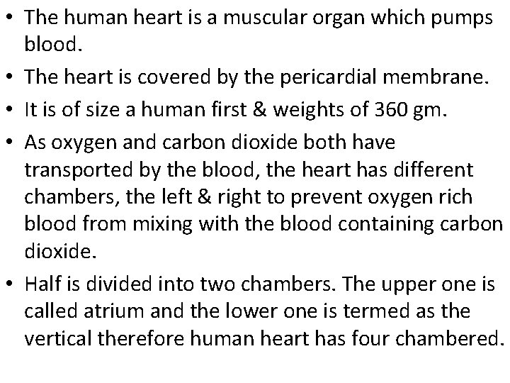 • The human heart is a muscular organ which pumps blood. • The