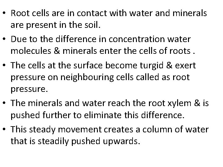  • Root cells are in contact with water and minerals are present in