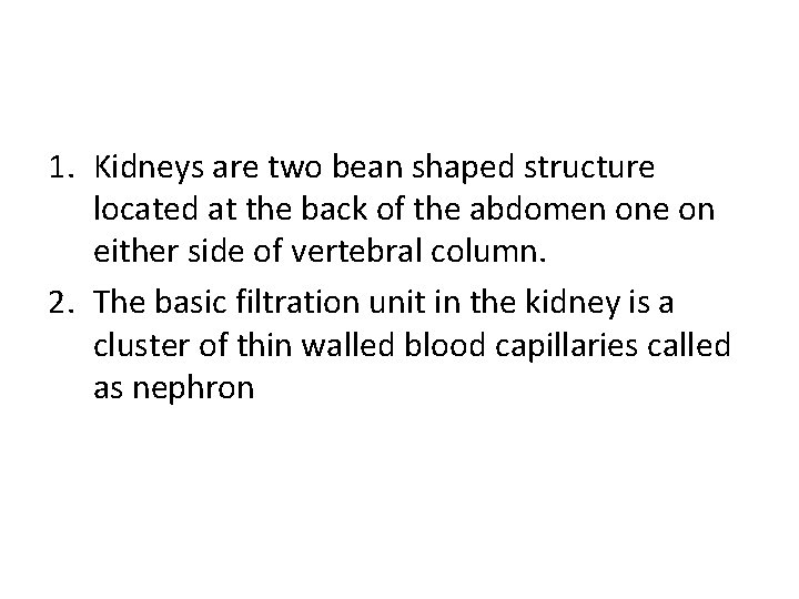 1. Kidneys are two bean shaped structure located at the back of the abdomen