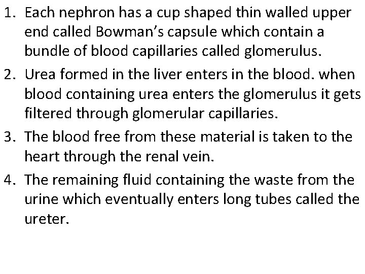 1. Each nephron has a cup shaped thin walled upper end called Bowman’s capsule