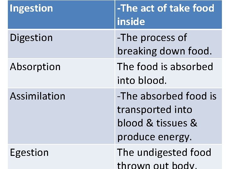 Ingestion Digestion Absorption Assimilation Egestion -The act of take food inside -The process of