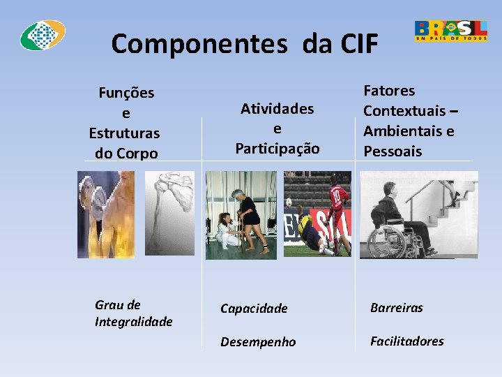 Componente Cif O BPC E A CLASSIFICAO INTERNACIONAL DE FUNCIONALIDADE