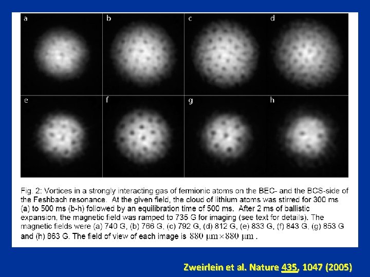 Zweirlein et al. Nature 435, 1047 (2005) Zweirlein et al. Nature 435, 1047 (2005)
