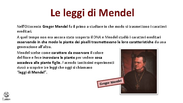 Le leggi di Mendel Nell’Ottocento Gregor Mendel fu il primo a studiare in che