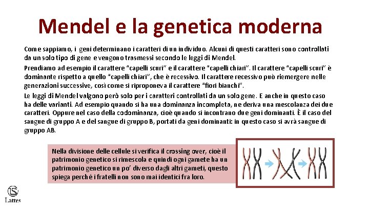 Mendel e la genetica moderna Come sappiamo, i geni determinano i caratteri di un