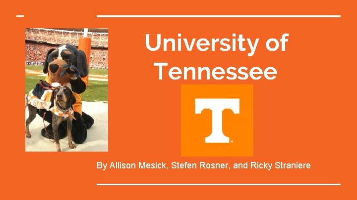 University of Tennessee By Allison Mesick, Stefen Rosner, and Ricky Straniere 