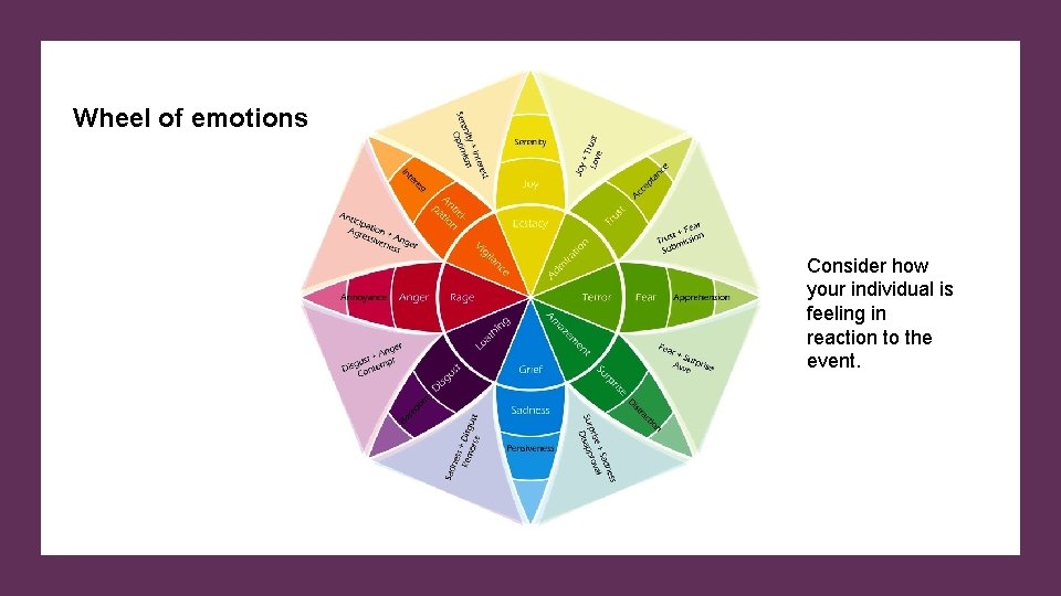 Wheel of emotions Consider how your individual is feeling in reaction to the event.