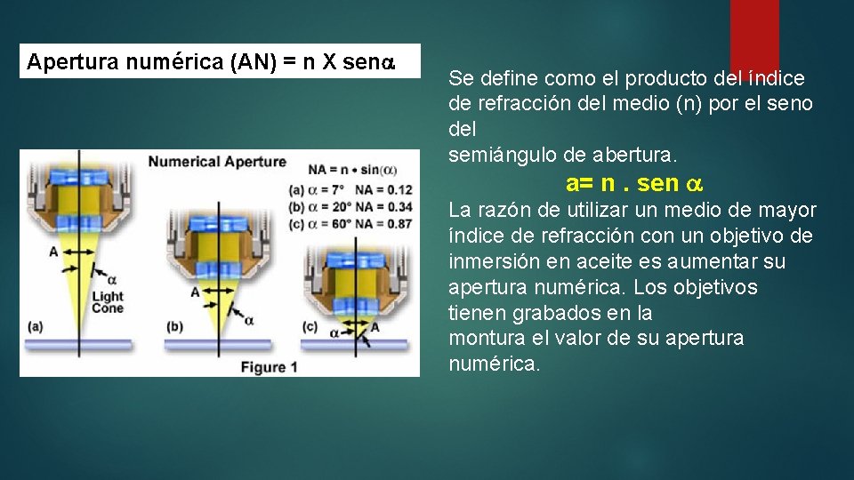 Apertura numérica (AN) = n X sen Se define como el producto del índice Apertura numérica (AN) = n X sen Se define como el producto del índice