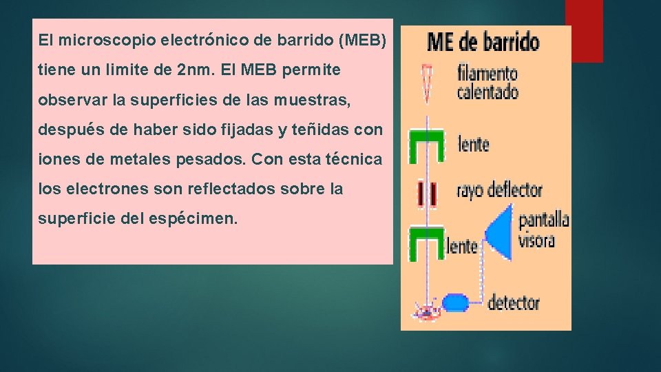 El microscopio electrónico de barrido (MEB) tiene un limite de 2 nm. El MEB