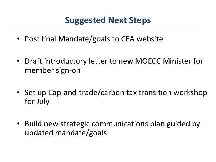 Suggested Next Steps • Post final Mandate/goals to CEA website • Draft introductory letter