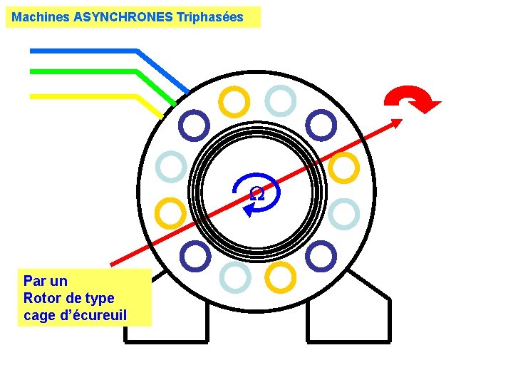 Machines ASYNCHRONES Triphasées Par un Rotor de type cage d’écureuil 