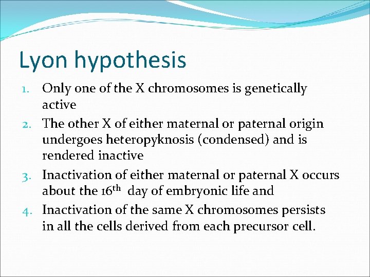 Lyon hypothesis 1. Only one of the X chromosomes is genetically active 2. The