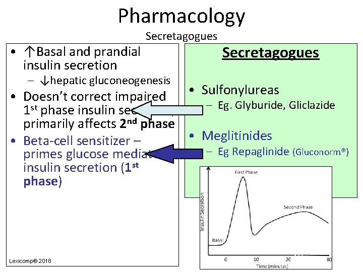 Pharmacology • ↑Basal and prandial insulin secretion Secretagogues – ↓hepatic gluconeogenesis Secretagogues • Sulfonylureas