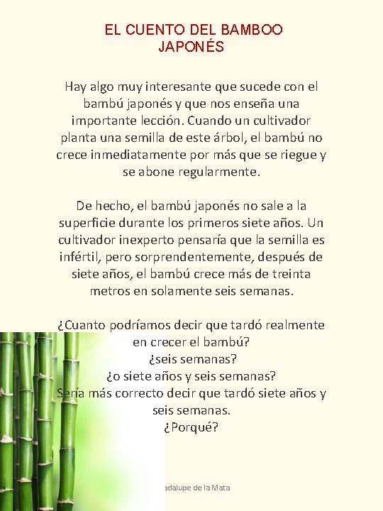 EL CUENTO DEL BAMBOO JAPONÉS Hay algo muy interesante que sucede con el bambú